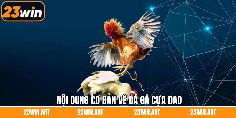Nội dung sơ lược nói về đá gà cựa dao tại 23Win