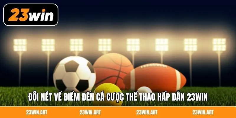 Đôi nét về điểm đến cá cược thể thao hấp dẫn 23Win