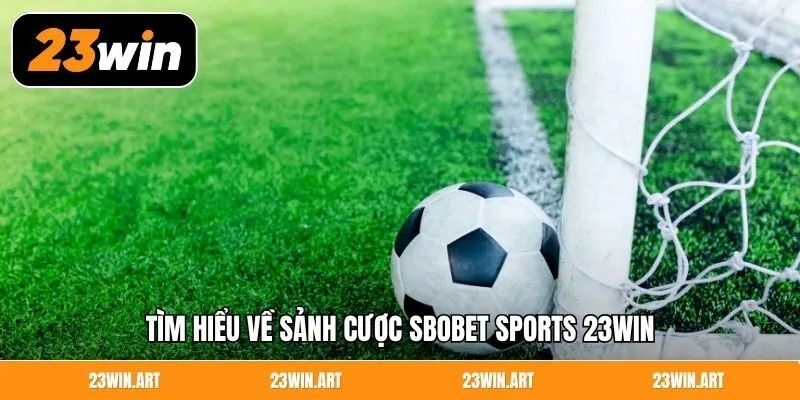 Tìm hiểu về sảnh cược Sbobet Sports 23Win