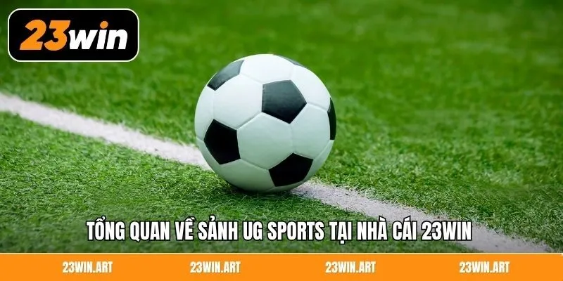 Tổng quan về sảnh UG Sports tại nhà cái 23Win 