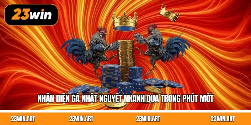 Nhận diện gà nhật nguyệt nhanh qua trong phút mốt